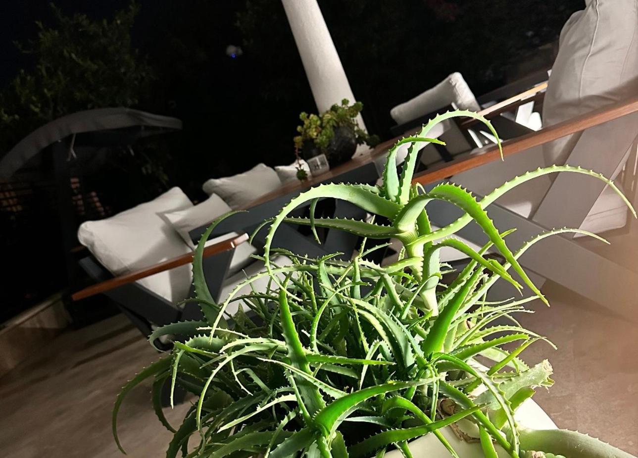 Noa Suite Hotel Only Adult Бодрум Экстерьер фото